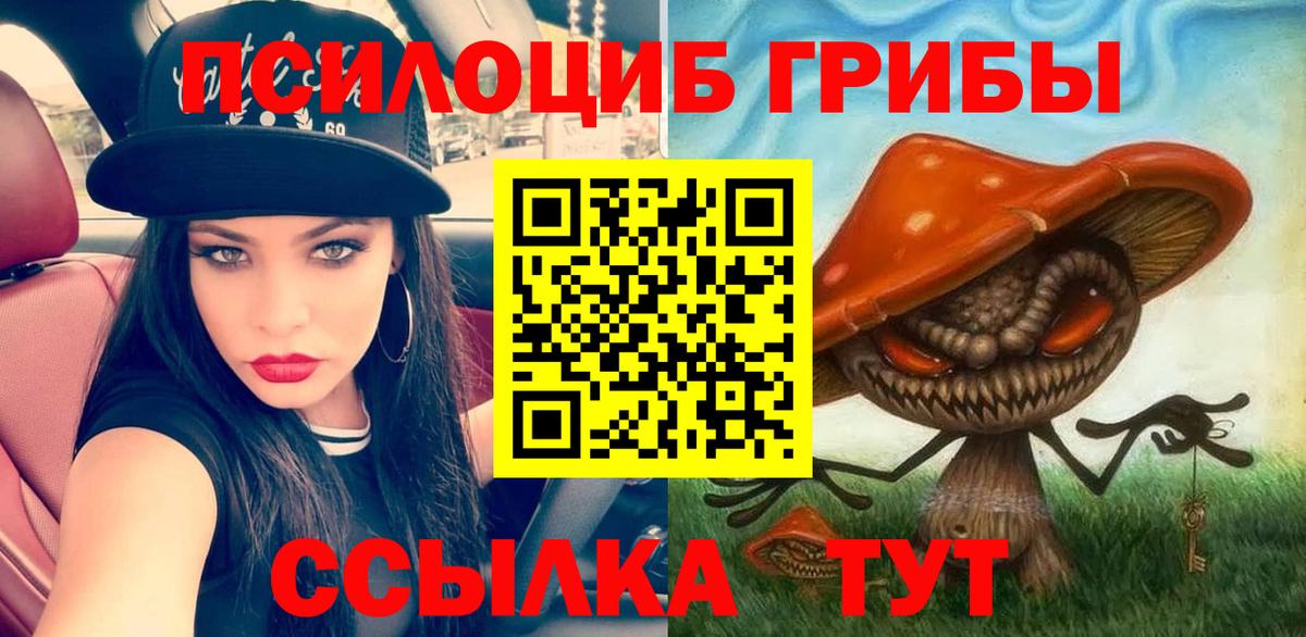 Псилоцибиновые грибы GOLDEN TEACHER  Вход с VPN  Губкин  Псилоцибиновые грибы GOLDEN TEACHER 